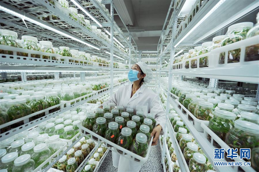 (新華全媒頭條·兩會精神看落實·圖文互動)(1)適應(yīng)發(fā)展新方位 奮進(jìn)決勝長征路