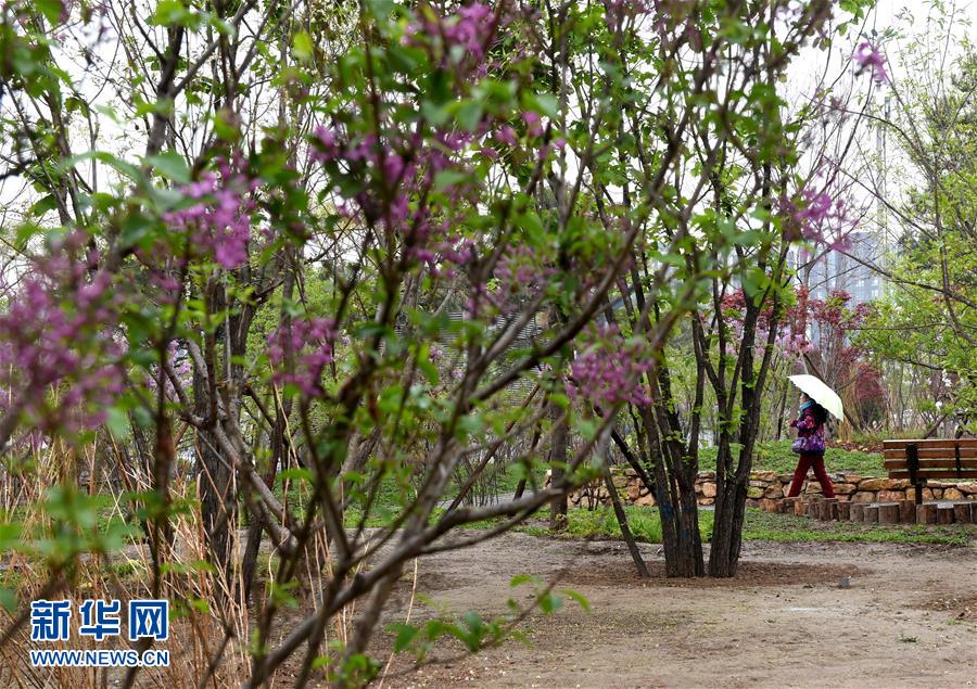 （在習(xí)近平新時(shí)代中國特色社會(huì)主義思想指引下&mdash;&mdash;新時(shí)代新氣象新作為&middot;新華全媒頭條&middot;圖文互動(dòng)）（4）最濃是這中國紅&mdash;&mdash;北京市西城區(qū)弘揚(yáng)紅墻意識(shí)深化改革發(fā)展紀(jì)實(shí)