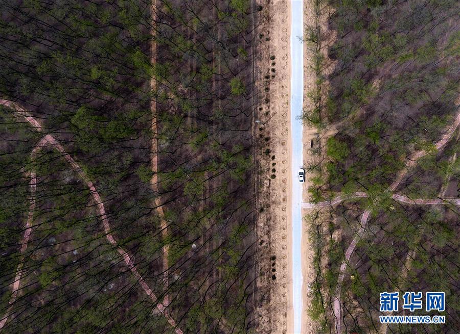 （在習(xí)近平新時代中國特色社會主義思想指引下&mdash;&mdash;新時代新氣象新作為&middot;圖文互動）（5）河南民權(quán)：三代造林人接力68年播綠黃河故道