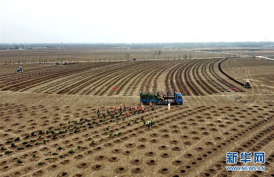 (新華全媒頭條·圖文互動)(6)奮進新時代 建設(shè)雄安城——以習(xí)近平同志為核心的黨中央謀劃指導(dǎo)《河北雄安新區(qū)規(guī)劃綱要》編制紀實