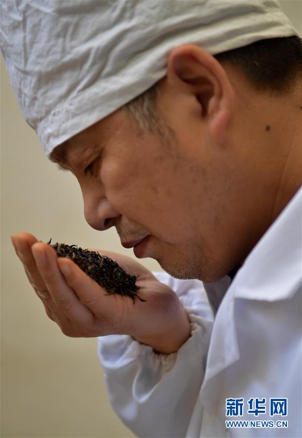 #（社會）（5）人間至味&ldquo;冷后渾&rdquo;