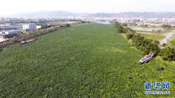 （圖文互動）（1）&ldquo;白練&rdquo;變&ldquo;黑龍&rdquo;，江河變&ldquo;草原&rdquo;－－粵東母親河為何污染20多年難治理？