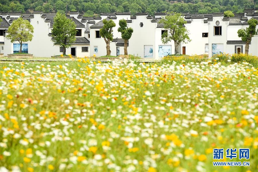 （新華全媒頭條&middot;搶救古民居&middot;圖文互動）（2）當(dāng)古民居遇上城鎮(zhèn)化，如何留住鄉(xiāng)愁？