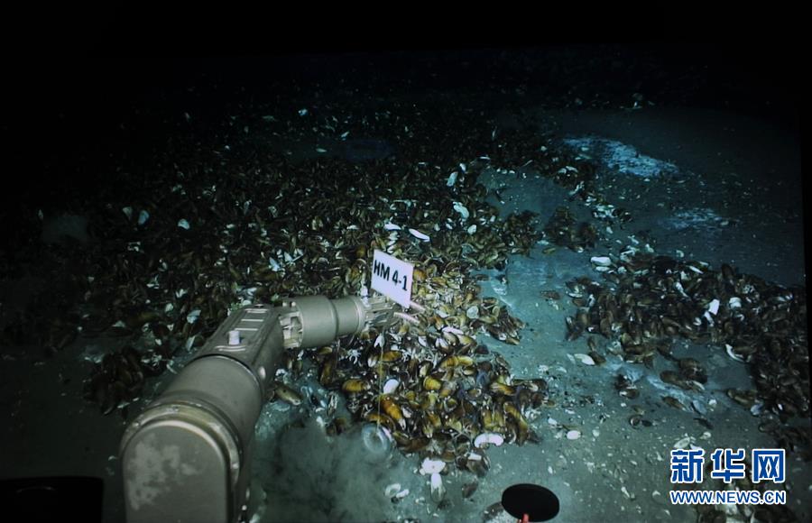 (圖文互動(dòng))(3)到南海“海馬冷泉”探秘海底的“生命綠洲”