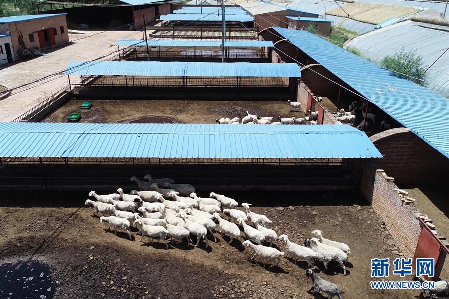 （壯闊東方潮 奮進(jìn)新時(shí)代&mdash;&mdash;慶祝改革開放40年）（9）退耕還林20年 延安大地譜新篇