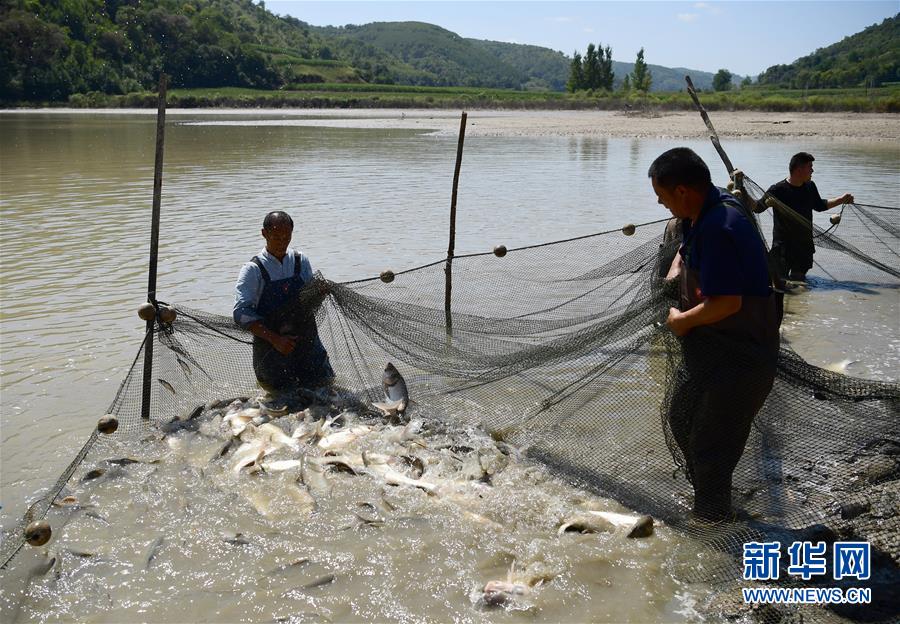 （壯闊東方潮 奮進(jìn)新時代&mdash;&mdash;慶祝改革開放40年）（15）退耕還林20年 延安大地譜新篇
