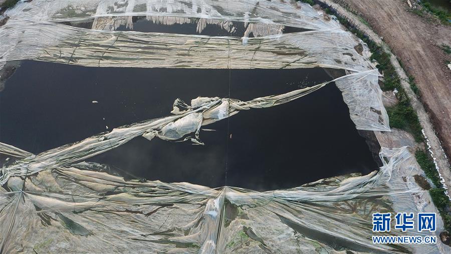 （新華網(wǎng)）（2）江蘇泰興公布長江邊污泥傾倒問題整改方案 將對涉事人員依紀問責(zé)