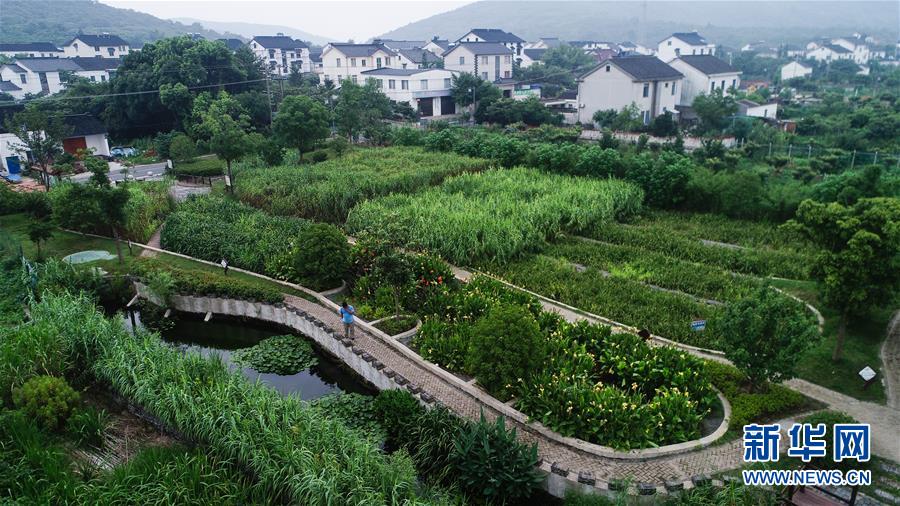 （在習(xí)近平新時代中國特色社會主義思想指引下&mdash;&mdash;新時代新作為新篇章&middot;圖文互動）（1）稀奇！治污濕地成了休閑公園&mdash;&mdash;江蘇蘇州全域推進農(nóng)村生活污水治理