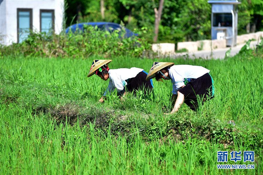 （社會(huì)）（2）苗山脫貧影像志&mdash;&mdash;把苗寨搬進(jìn)景區(qū) 讓貧困戶(hù)住進(jìn)城里