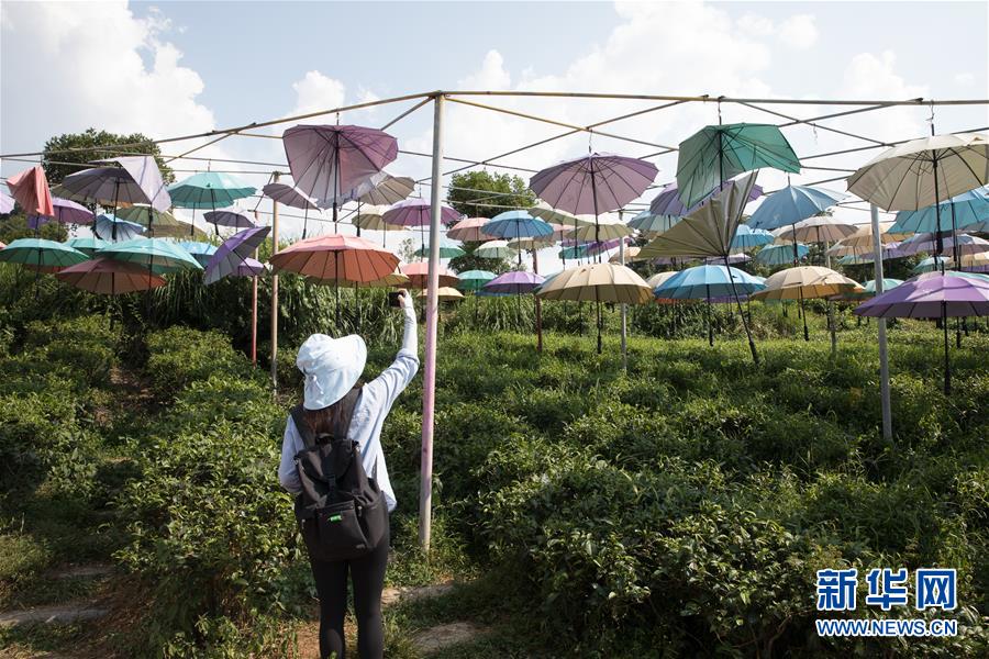 （大江奔流&mdash;&mdash;來自長江經(jīng)濟帶的報道&middot;圖文互動）（4）在這里，做一個幸福的農(nóng)民
