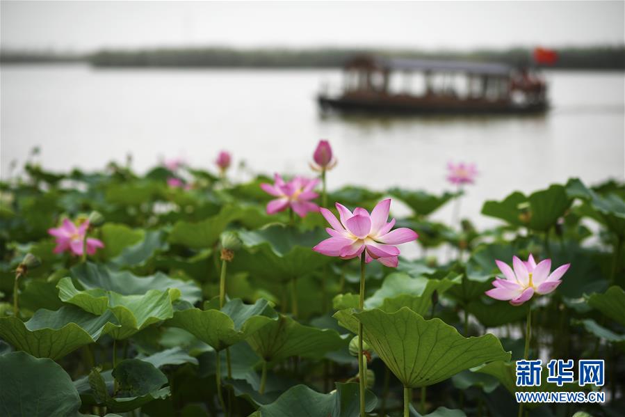 (寧夏60年)(6)“塞上湖城”波光滟