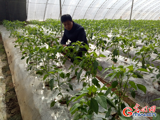 【脫貧攻堅(jiān)在行動(dòng)】全村聯(lián)名信留下好書(shū)記&mdash;&mdash;青海省城上村&ldquo;第一書(shū)記&rdquo;劉貴明這三年