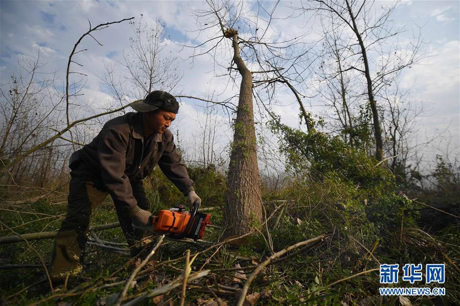 （大江奔流&mdash;&mdash;來(lái)自長(zhǎng)江經(jīng)濟(jì)帶的報(bào)道&middot;新華全媒頭條&middot;圖文互動(dòng)）（6）打造經(jīng)濟(jì)高質(zhì)量發(fā)展的強(qiáng)勁引擎&mdash;&mdash;深入推動(dòng)長(zhǎng)江經(jīng)濟(jì)帶發(fā)展述評(píng)