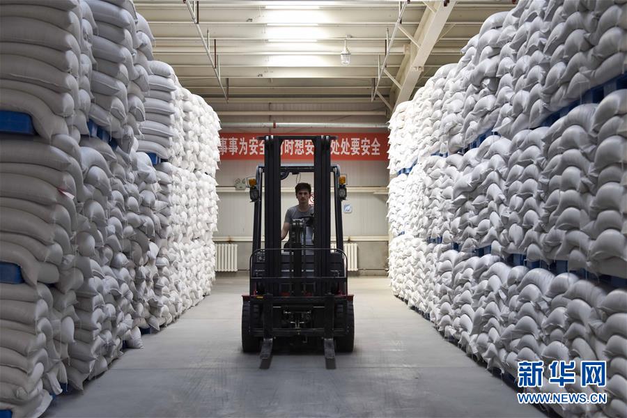 （新華全媒頭條&middot;圖文互動）（6）去新疆！穿越古今絲綢之路