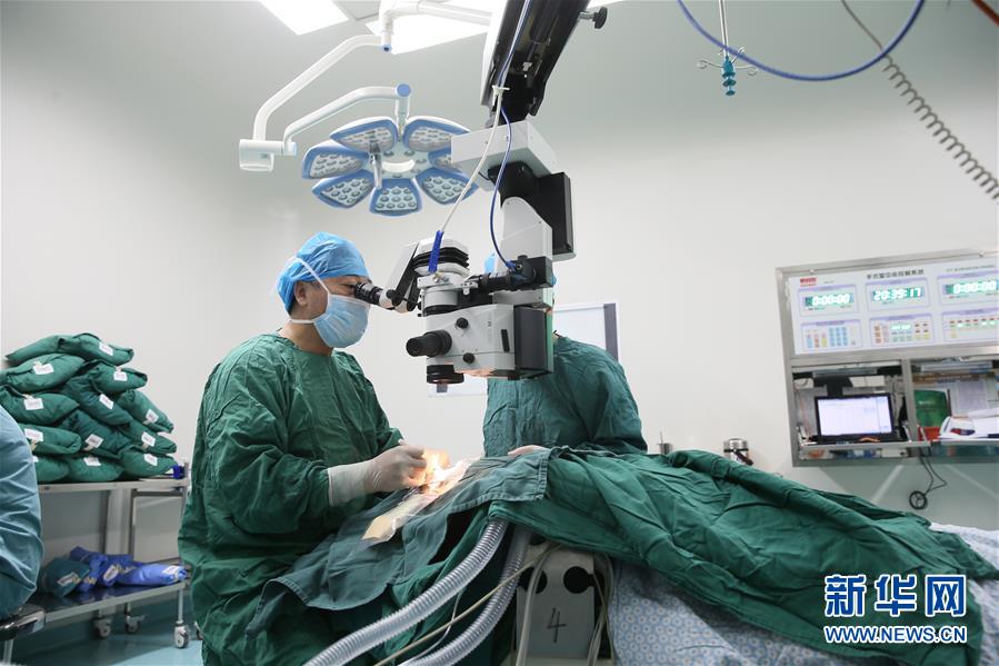 (新華全媒頭條·圖文互動)(8)生命的禮贊——跨越五千公里的生命接力