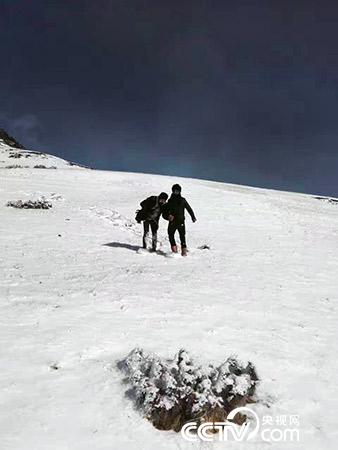 下雪天巡護(hù)也是常有的事。