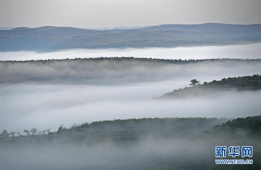 (新華全媒頭條·圖文互動(dòng))(12)中國(guó)扶貧的西海固答卷——寧夏奮進(jìn)60年巡禮之脫貧攻堅(jiān)篇
