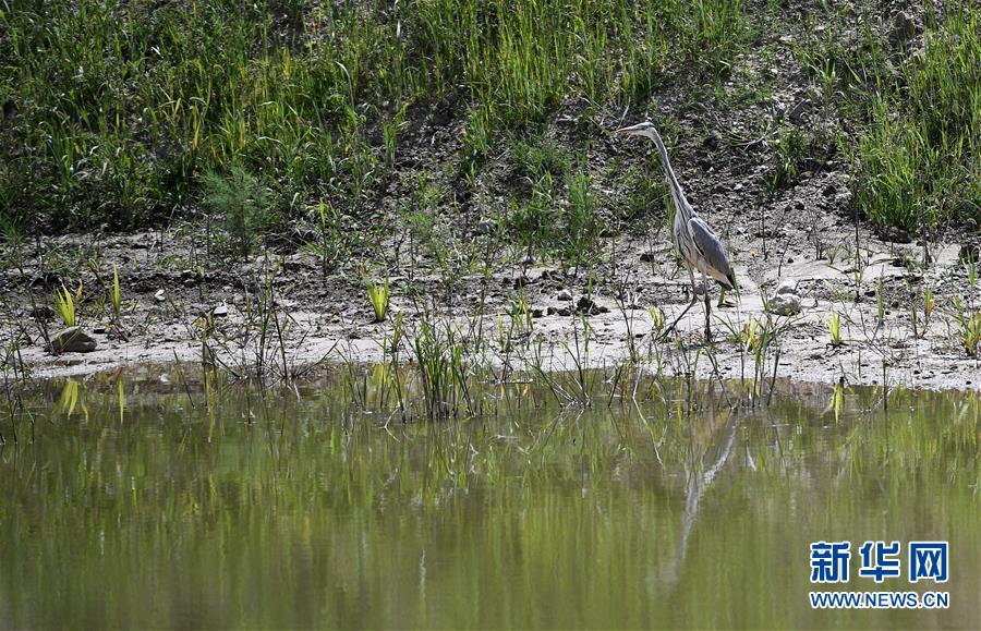 (新華全媒頭條·圖文互動(dòng))(10)中國(guó)扶貧的西海固答卷——寧夏奮進(jìn)60年巡禮之脫貧攻堅(jiān)篇