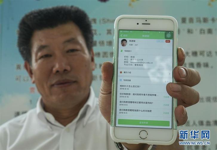 （豐收的味道&middot;圖文互動(dòng)）（3）露濃壓架葡萄熟&mdash;&mdash;江蘇灌南縣葡萄產(chǎn)業(yè)&ldquo;變身記&rdquo;