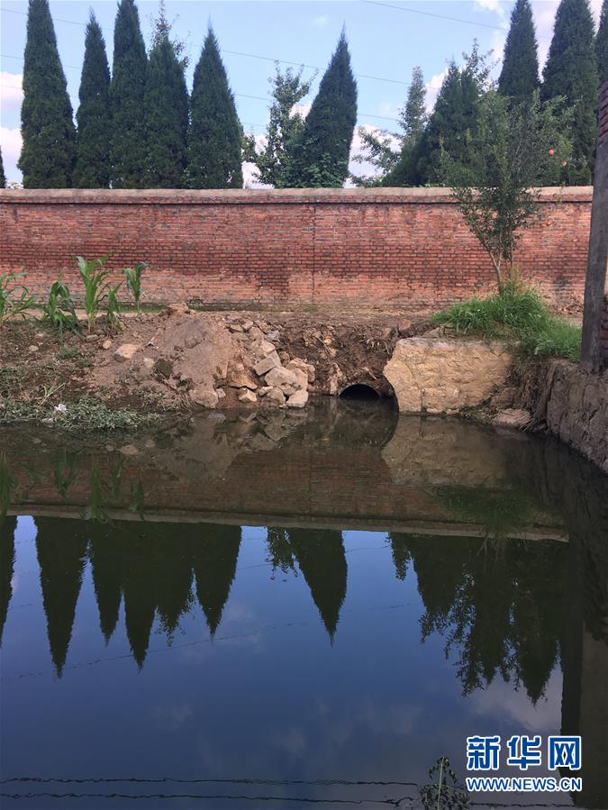 （新華視點&middot;圖文互動）（3）上游洪水來襲下游魚蟹死亡，泄洪為何變泄污？