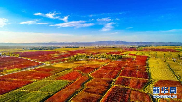 秋收的中國，你想象不到的美！但更美的是&hellip;&hellip;