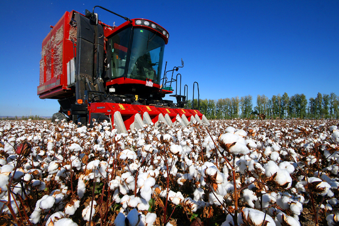 秋收的中國，你想象不到的美！但更美的是&hellip;&hellip;