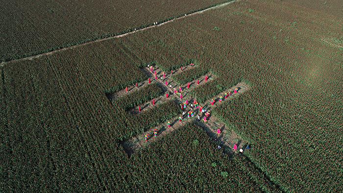 秋收的中國，你想象不到的美！但更美的是&hellip;&hellip;