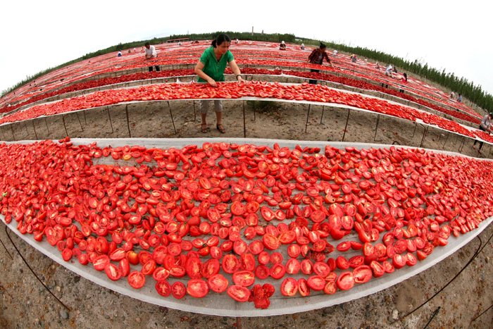 秋收的中國，你想象不到的美！但更美的是&hellip;&hellip;