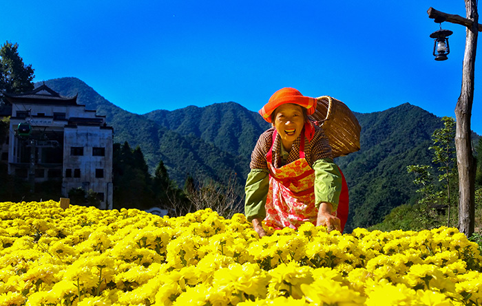 秋收的中國，你想象不到的美！但更美的是&hellip;&hellip;