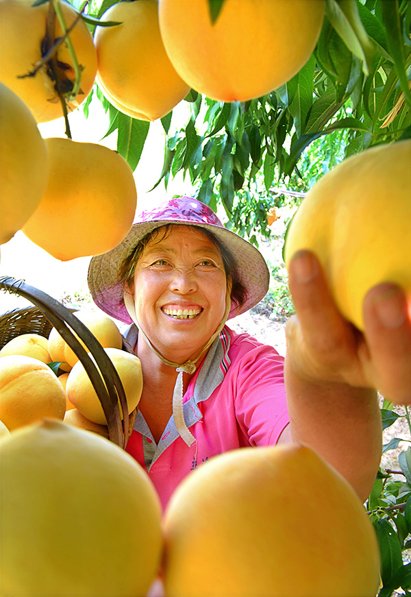 秋收的中國，你想象不到的美！但更美的是&hellip;&hellip;