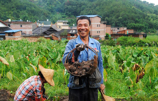 秋收的中國，你想象不到的美！但更美的是&hellip;&hellip;