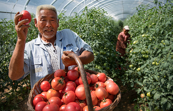 秋收的中國，你想象不到的美！但更美的是&hellip;&hellip;