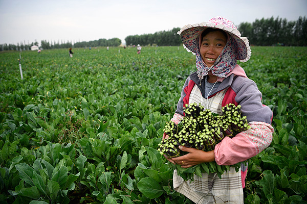 秋收的中國，你想象不到的美！但更美的是&hellip;&hellip;