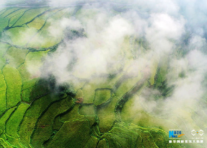 秋收的中國，你想象不到的美！但更美的是&hellip;&hellip;