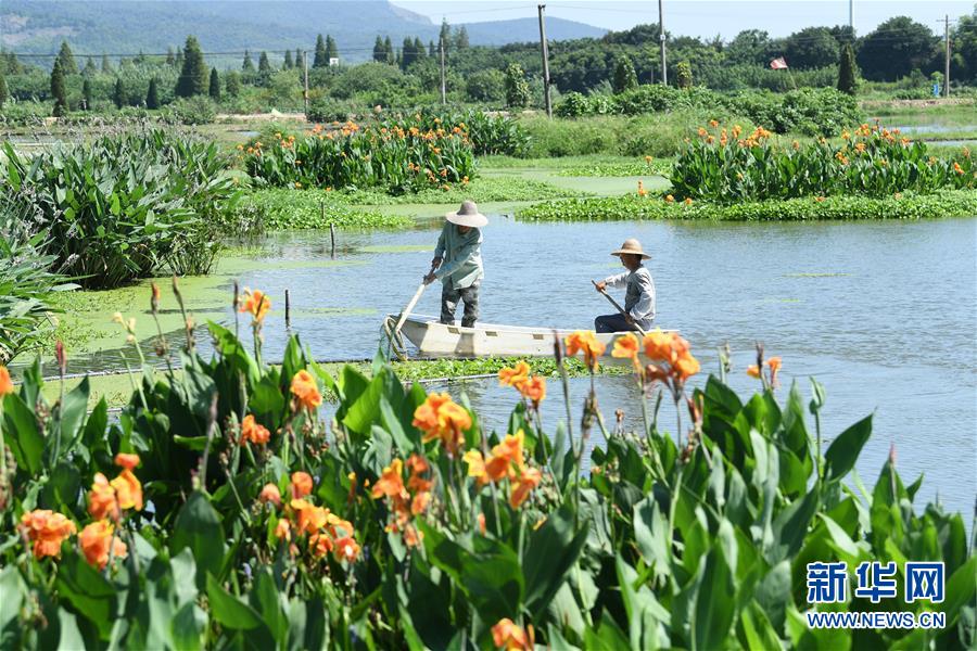 （新華全媒頭條&middot;聚焦鄉(xiāng)村振興戰(zhàn)略規(guī)劃&middot;圖文互動）（14）推進鄉(xiāng)村振興的行動指南&mdash;&mdash;解讀鄉(xiāng)村振興戰(zhàn)略首個五年規(guī)劃亮點