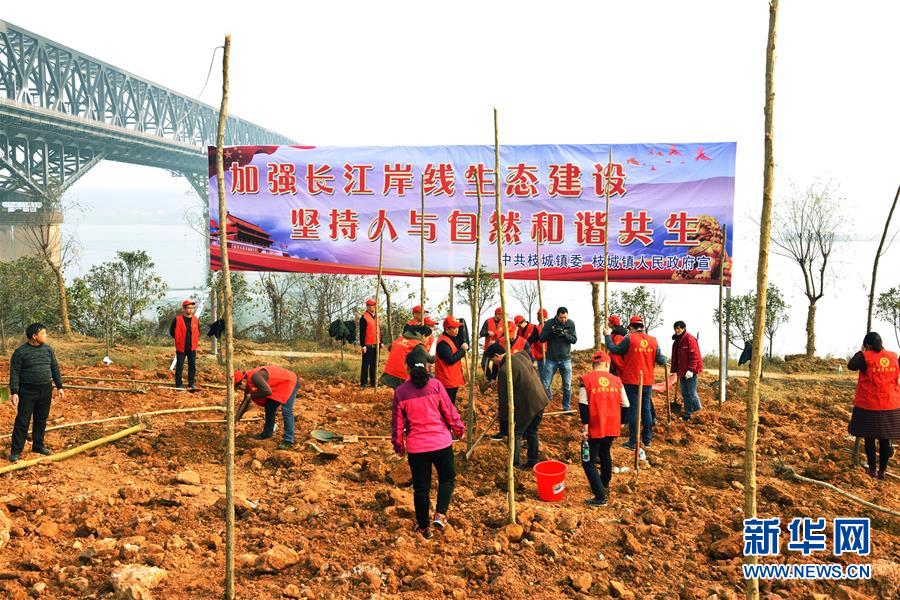 (在習(xí)近平新時(shí)代中國(guó)特色社會(huì)主義思想指引下——新時(shí)代新作為新篇章·圖文互動(dòng))(2)湖北枝城鎮(zhèn):片區(qū)黨建助推鄉(xiāng)村全面振興