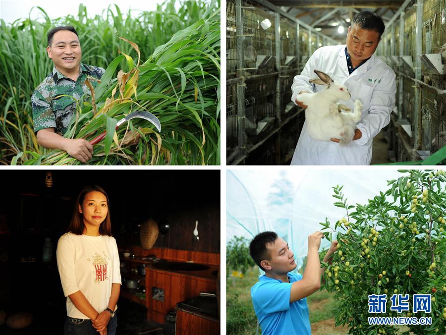 （在習(xí)近平新時(shí)代中國特色社會(huì)主義思想指引下&mdash;&mdash;新時(shí)代新作為新篇章&middot;圖文互動(dòng)）（7）三年村干部 一世農(nóng)村情&mdash;&mdash;記貴州石阡農(nóng)村扶貧干部