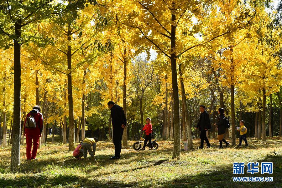 （百城百縣百企調研行&middot;圖文互動）（2）生態(tài) 文明 宜居&mdash;&mdash;北京城市副中心未來之城正在崛起