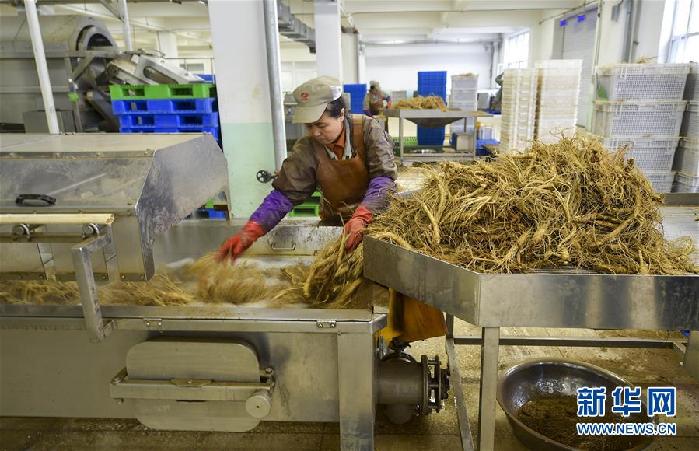 （百城百縣百企調(diào)研行&middot;圖文互動(dòng)）（5）吉林集安：邊陲&ldquo;綠色明珠&rdquo;為何如此閃亮？