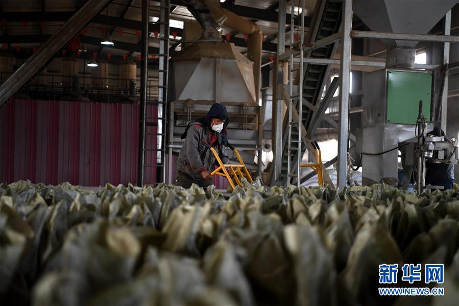 （在習(xí)近平新時(shí)代中國特色社會(huì)主義思想指引下&mdash;&mdash;新時(shí)代新氣象新作為&middot;鄉(xiāng)村振興戰(zhàn)略&middot;圖文互動(dòng)）（1）&ldquo;與其放火，不如打包&rdquo;&mdash;&mdash;山西渾源秸稈綜合再利用見聞