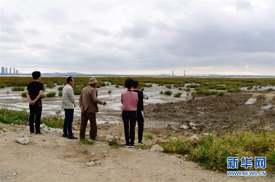 (新華視點(diǎn)·圖文互動(dòng))(5)福建10名黨員干部被問(wèn)責(zé)的背后:7部門十余次執(zhí)法未能有效制止泉州灣濕地圍墾行為