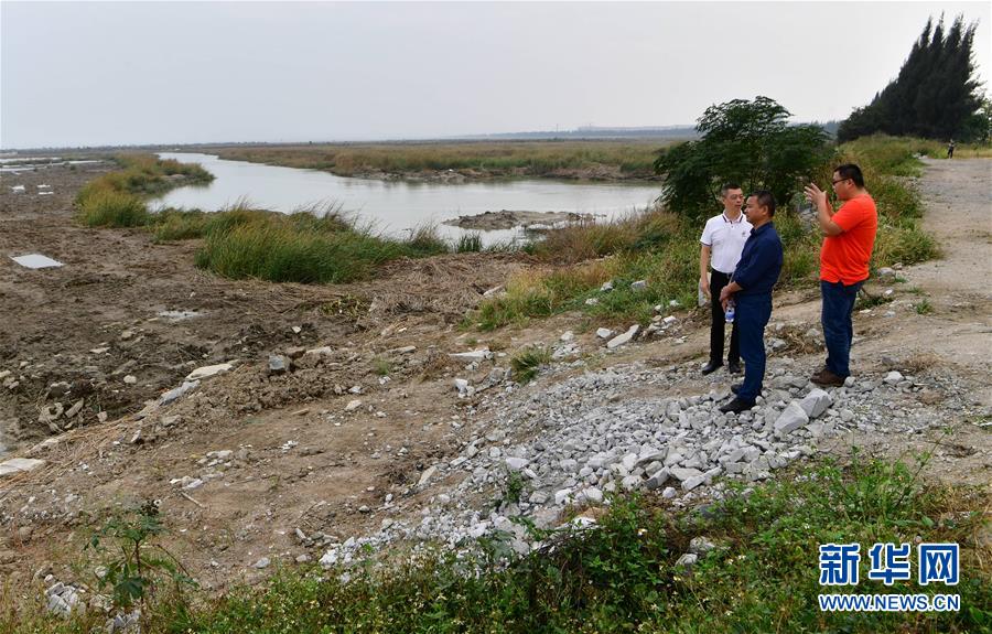 (新華視點(diǎn)·圖文互動(dòng))(6)福建10名黨員干部被問(wèn)責(zé)的背后:7部門十余次執(zhí)法未能有效制止泉州灣濕地圍墾行為