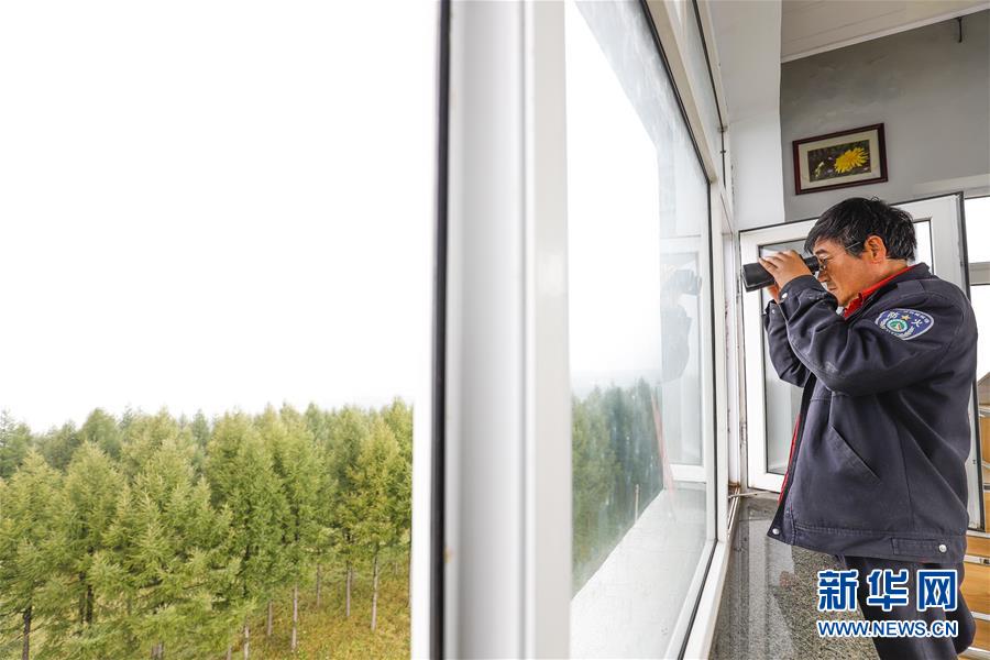 （新華全媒頭條&middot;圖文互動(dòng)）（3）那一抹綠色，走進(jìn)越來越多人心里&mdash;&mdash;河北塞罕壩續(xù)寫新時(shí)代綠色傳奇