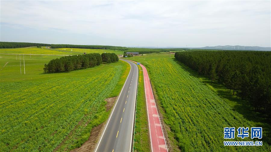 （新華全媒頭條&middot;圖文互動(dòng)）（4）那一抹綠色，走進(jìn)越來越多人心里&mdash;&mdash;河北塞罕壩續(xù)寫新時(shí)代綠色傳奇