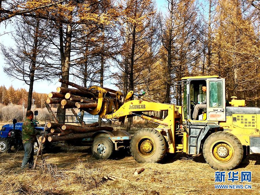 （新華全媒頭條&middot;圖文互動(dòng)）（7）那一抹綠色，走進(jìn)越來越多人心里&mdash;&mdash;河北塞罕壩續(xù)寫新時(shí)代綠色傳奇