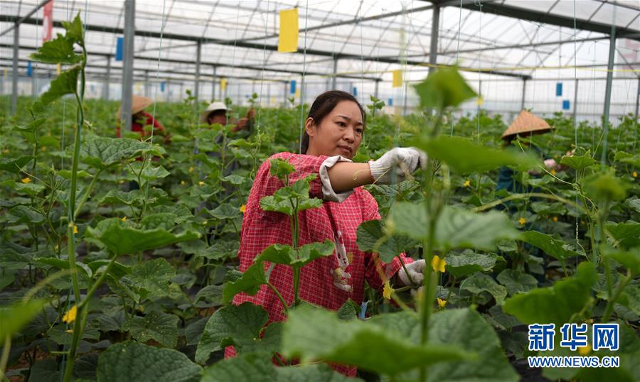 （新華全媒頭條&middot;圖文互動）（11）心中有夢想，腳下就有力量&mdash;&mdash;寫在&ldquo;中國夢&rdquo;提出六周年之際