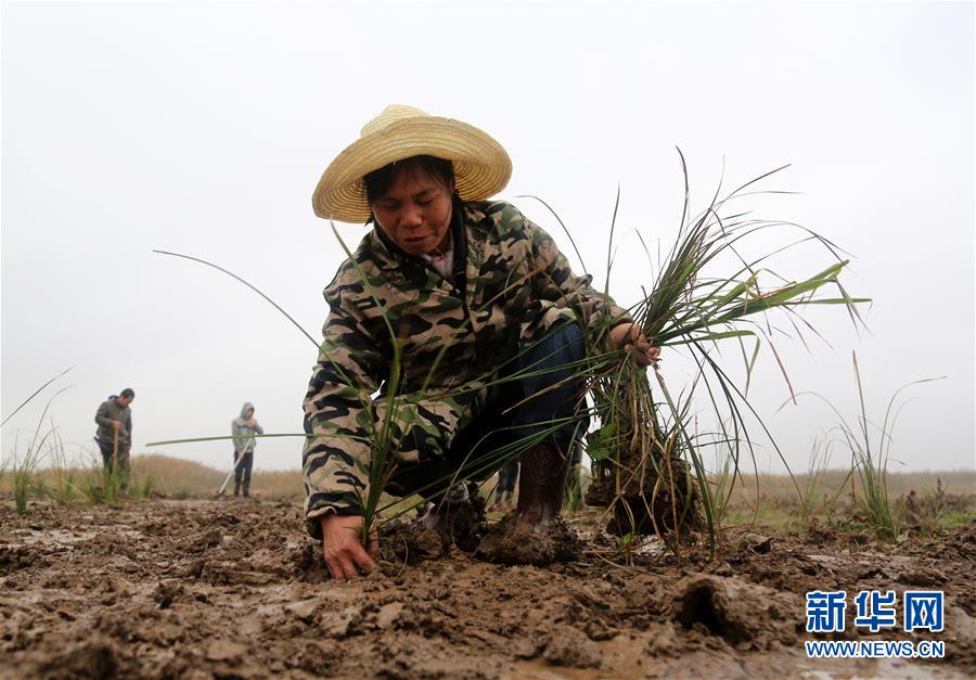 （新華視點(diǎn)&middot;回望2018&middot;圖文互動(dòng)）（3）2018年新華社曝光多起破壞生態(tài)事件，記者年底追訪發(fā)現(xiàn)&hellip;&hellip;
