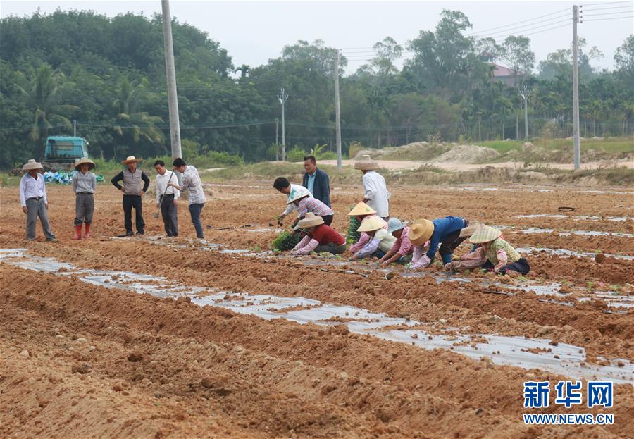 （新華視點(diǎn)&middot;回望2018&middot;圖文互動(dòng)）（7）2018年新華社曝光多起破壞生態(tài)事件，記者年底追訪發(fā)現(xiàn)&hellip;&hellip;