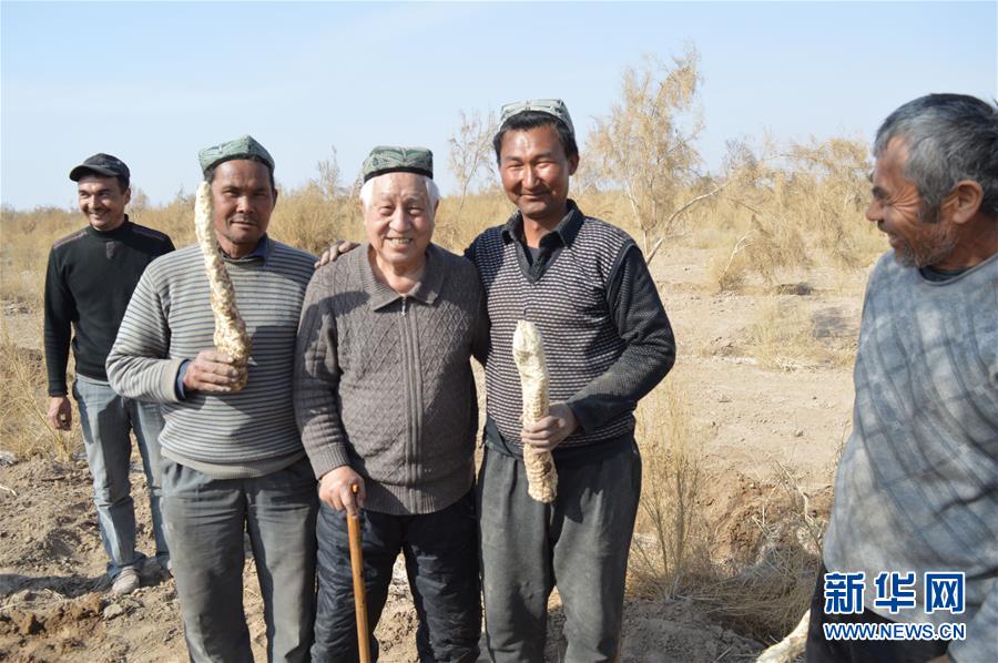 （圖文互動(dòng)）（3）&ldquo;劉紅柳&rdquo;，一輩子大漠扎根種樹