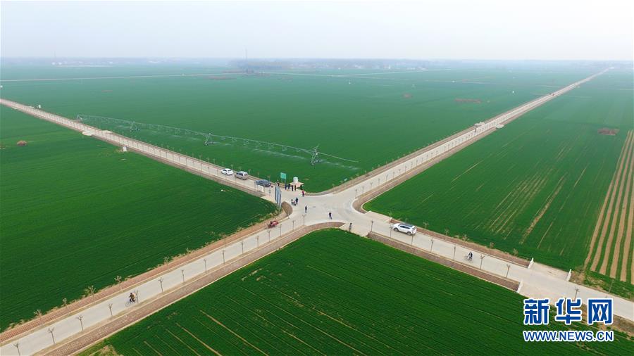 (來(lái)自一線的調(diào)查報(bào)告·圖文互動(dòng))(1)從“填飽肚子”到“過(guò)好日子”——改革開(kāi)放40年河南農(nóng)業(yè)三重“蝶變記”